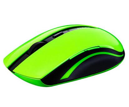 Rapoo Wireless Optical Office Mouse